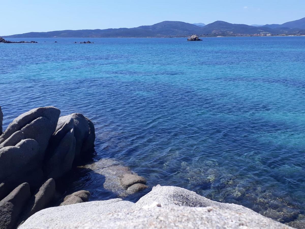 Il Mare Di Apartment