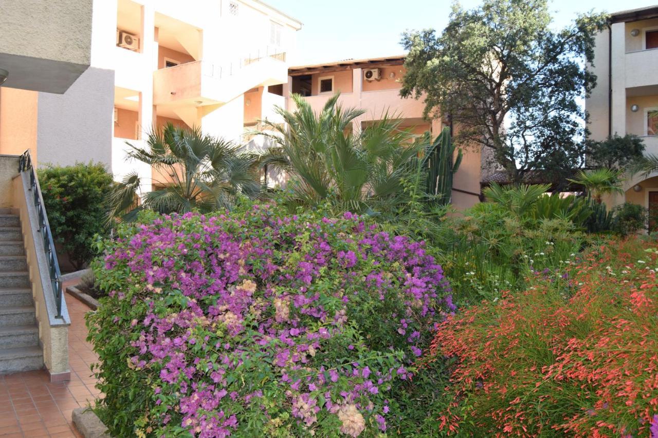 Il Mare Di Apartment *